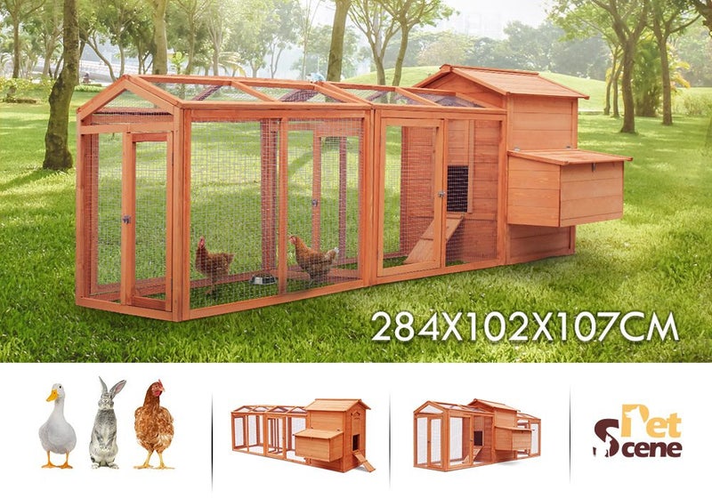 Chicken Coop Carousel 1