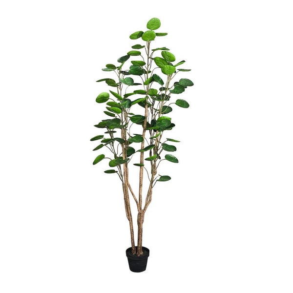 SOGA 4X Plastic Potted Polyscias Scutellaria Plant Home Garden Artificial Tre... Carousel 2
