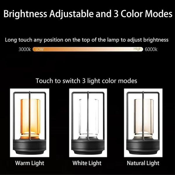Cordless Touch Desk Lamp LED Rechargeable USB Dimming Table Light Carousel 2