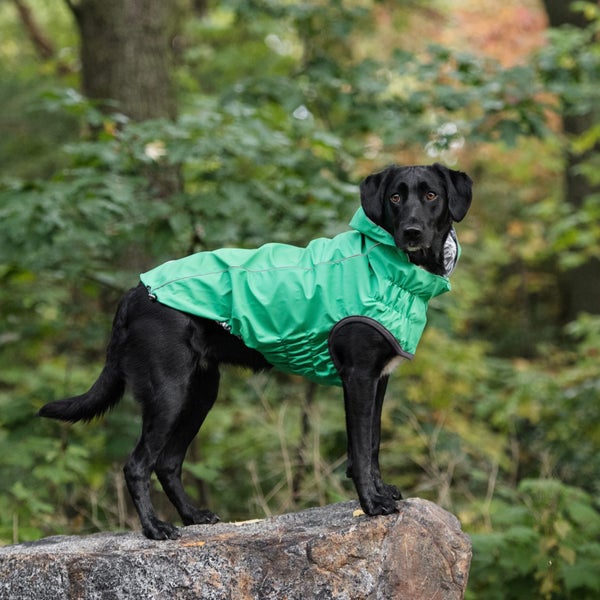 DOG COAT GF REVERSIBLE RAINCOAT 61cm 23 -32kg GREEN Carousel 1