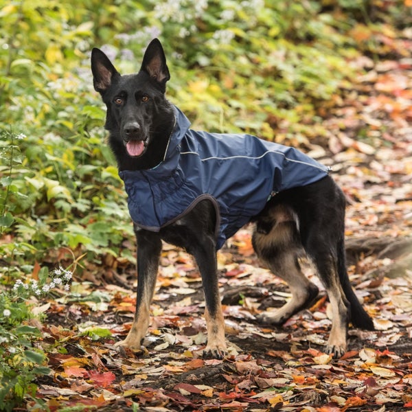 DOG COAT GF REVERSIBLE RAINCOAT 71cm 27 - 45kg NAVY Carousel 1