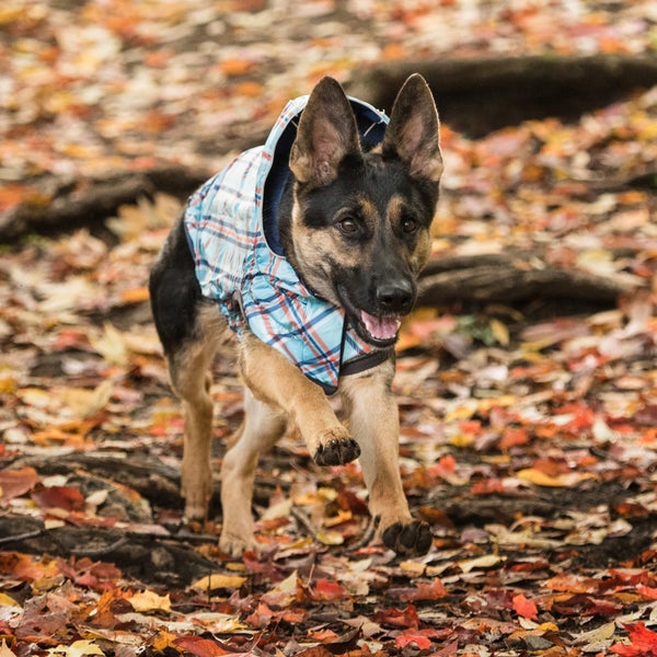 DOG COAT GF REVERSIBLE RAINCOAT 71cm 27 - 45kg NAVY Carousel 2