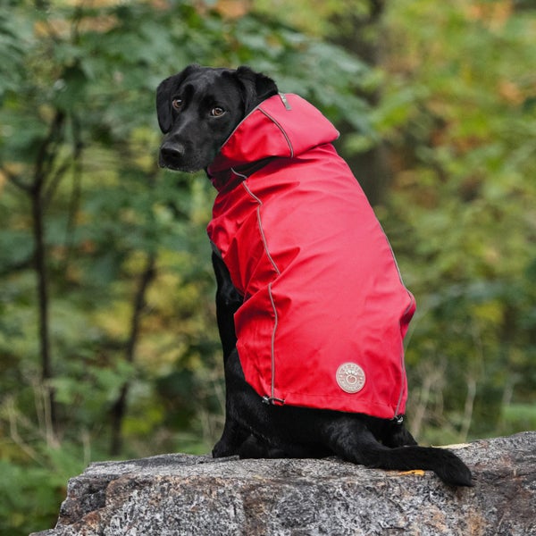 DOG COAT GF REVERSIBLE RAINCOAT 71cm 27-45kg RED Carousel 1