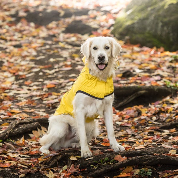 DOG COAT GF REVERSIBLE RAINCOAT 71cm 27-45kg YELLOW Carousel 1