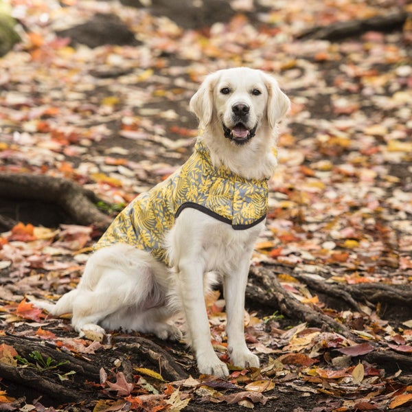 DOG COAT GF REVERSIBLE RAINCOAT 71cm 27-45kg YELLOW Carousel 2