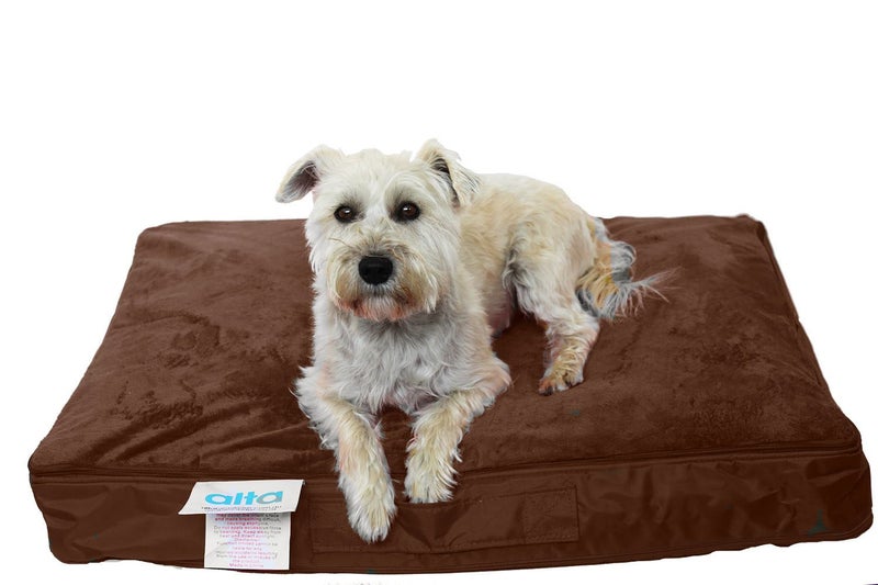 Regulag Pet Beanbag Bed - Black & Chocolate available! Carousel 1