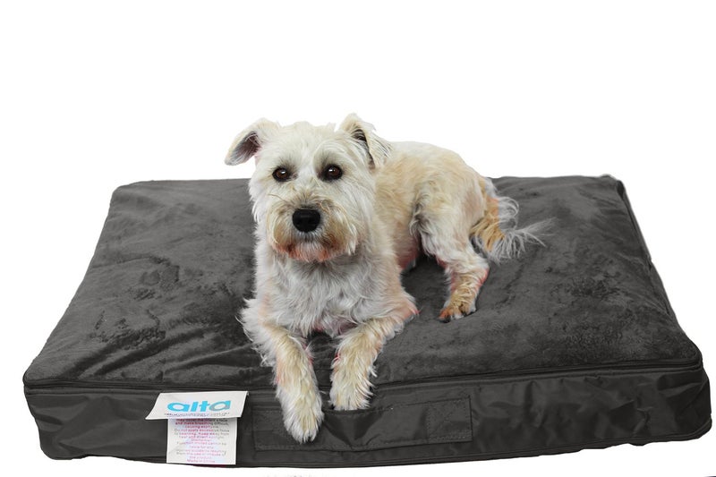 Regulag Pet Beanbag Bed - Black & Chocolate available! Carousel 2
