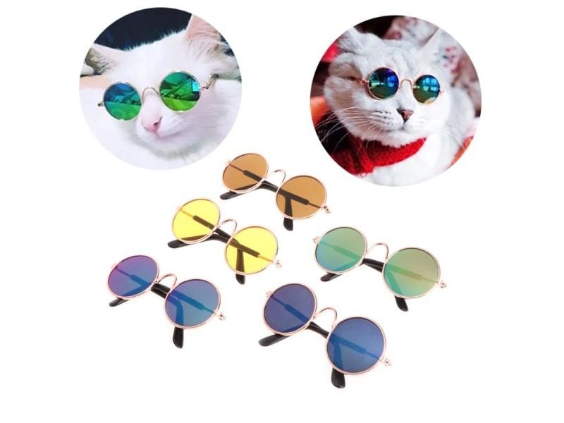 Cat Brush Dog Brush Carousel 2