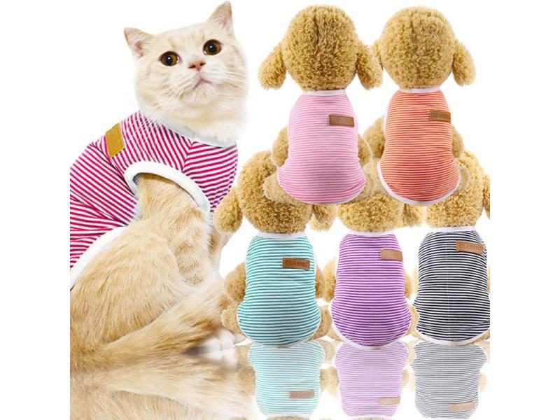 Cat Clothing Carousel 2