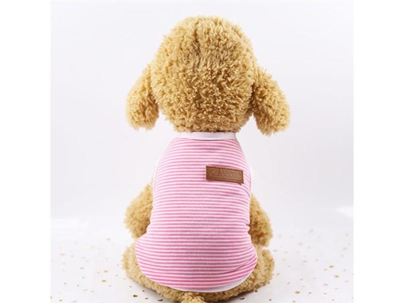 Cat Clothing Carousel 1