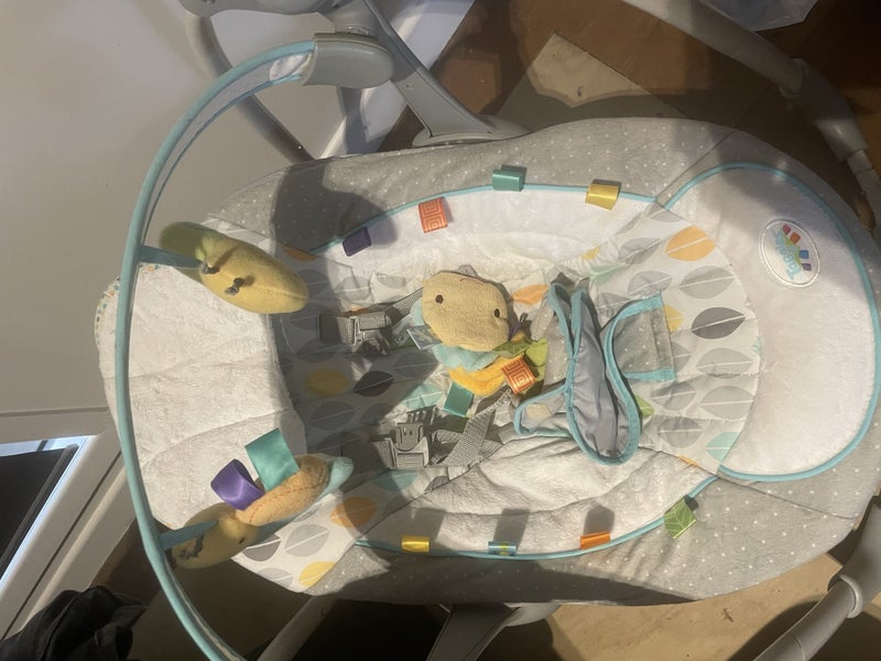 Taggies swing n go portable baby swing seat Carousel 2