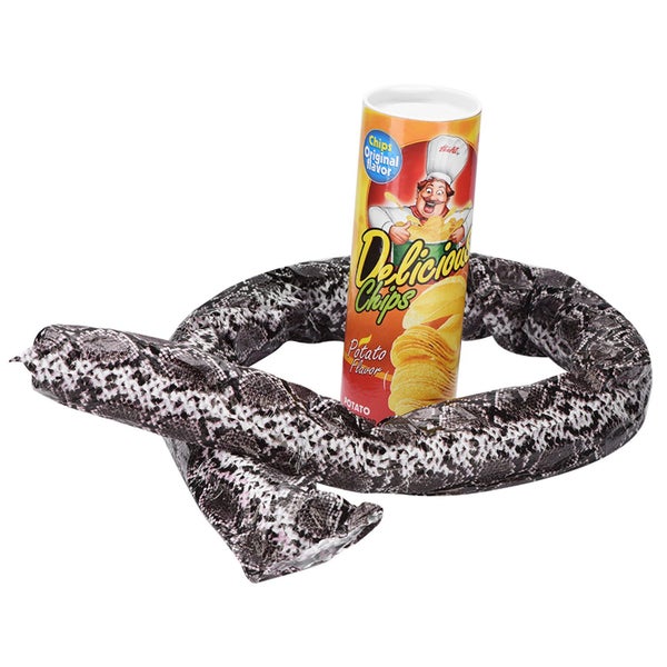 Novelty Potato Chip Can Spring Snake Trick Toy Carousel 2