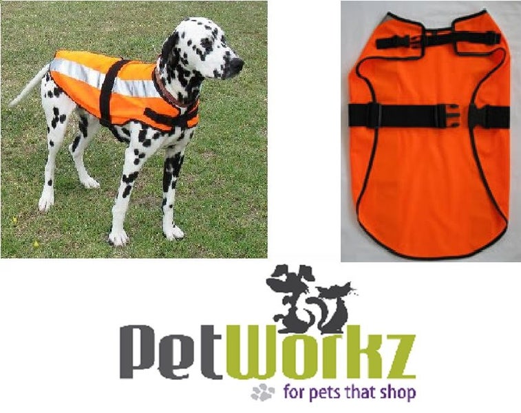 DOG COAT HIGH VISIBILITY LARGE Carousel 1