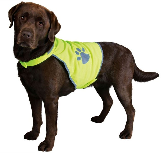 DOG COAT HIGH VISIBILITY XTRA LARGE NEON YELLOW Carousel 1
