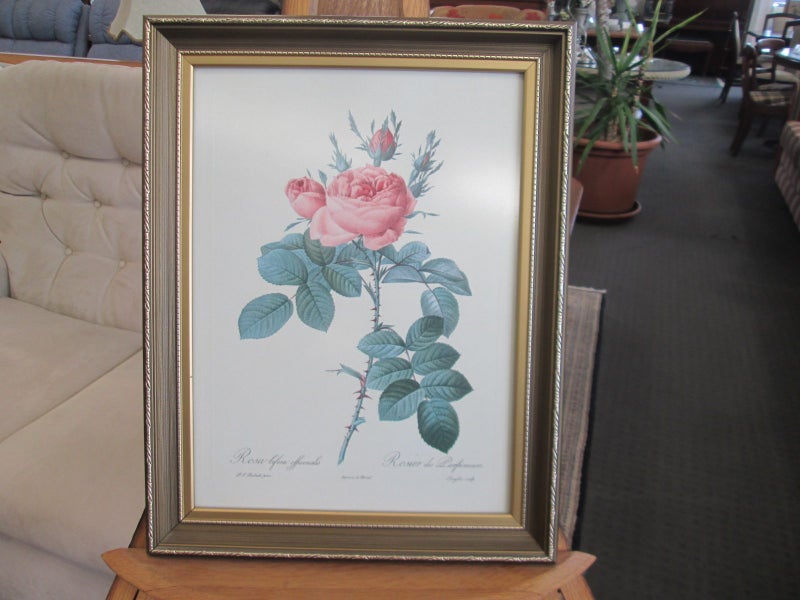 P.T.Redoute - Rosa Rosier Lithograph Carousel 1