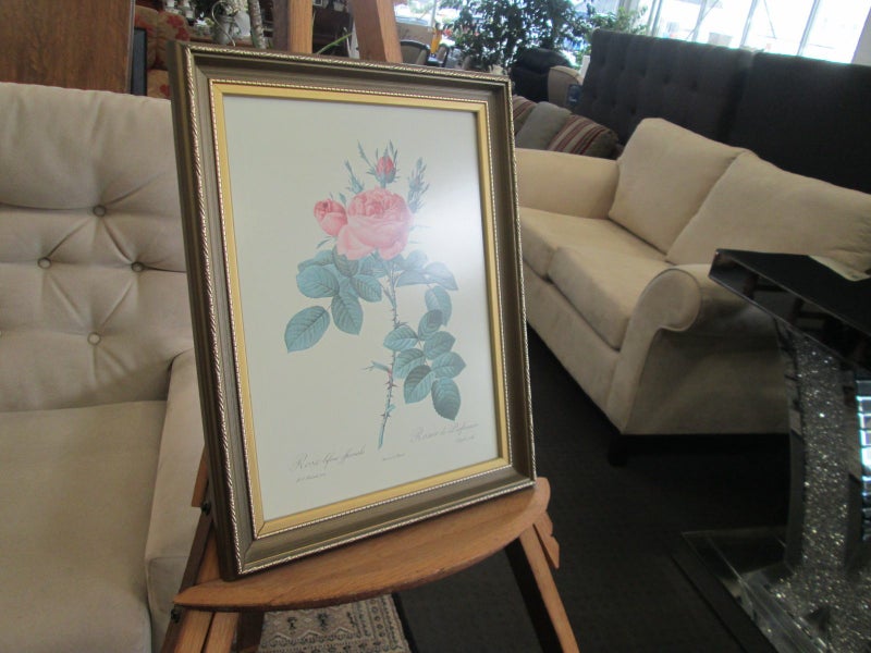 P.T.Redoute - Rosa Rosier Lithograph Carousel 2