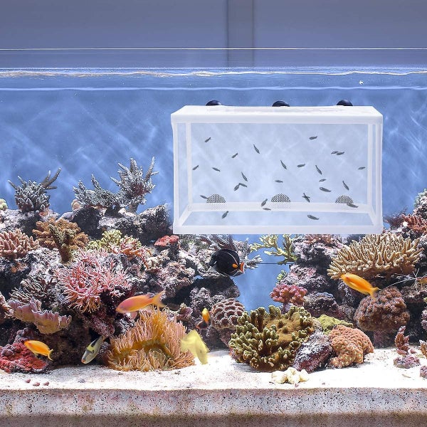 fish Nursery For Aquarium-fish Breeding Net Hang On Breeder Box,fish Breeder Bo Carousel 4