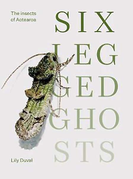 Six-Legged Ghosts: The Insects of Aotearoa Carousel 1