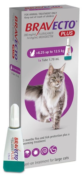 Bravecto plus Large cat (6.25 - 12.5kg) AFTERPAY AVAILABLE Carousel 1