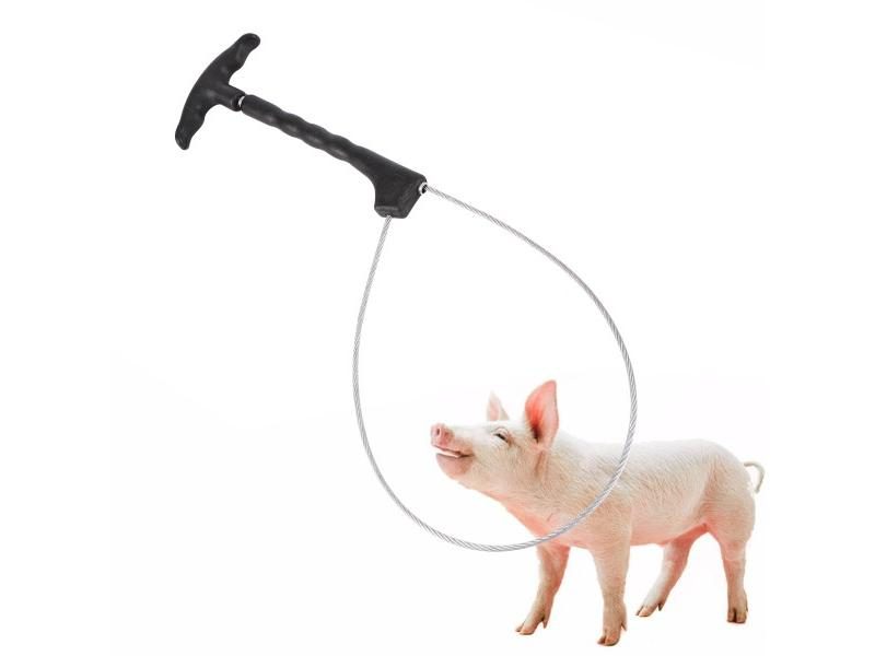 1 Pc Livestock Pig Baoding Set Pig Fixed Rope Veterinary Equipment Sleeve Carousel 1