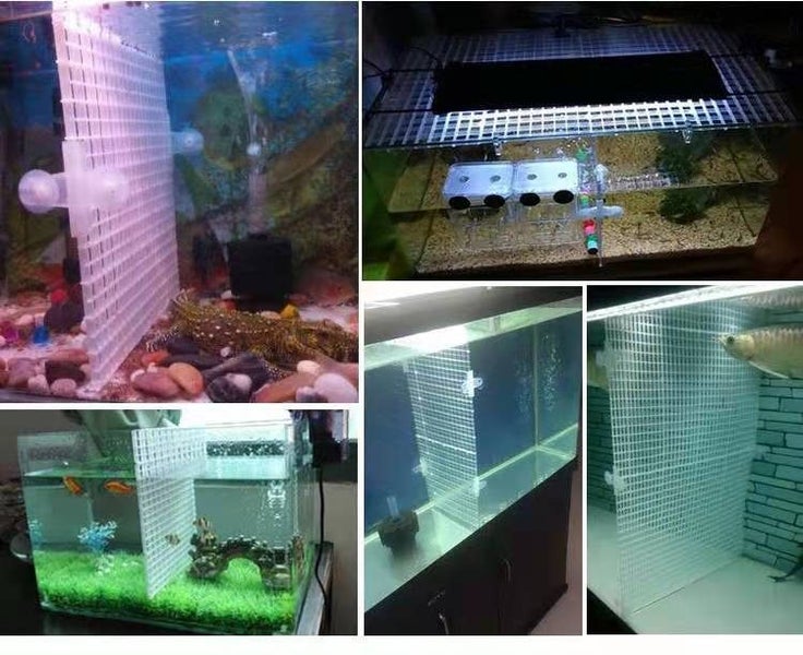 Fish Tank Divider Isolation Board 1PC Carousel 3