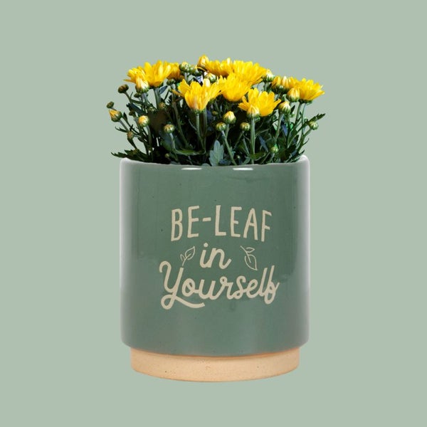 Green Be-Leaf in Yourself Plant Pot Carousel 1