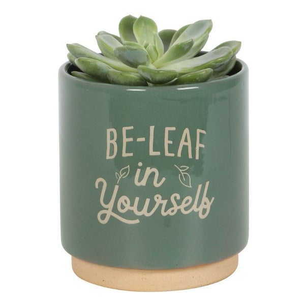 Green Be-Leaf in Yourself Plant Pot Carousel 2