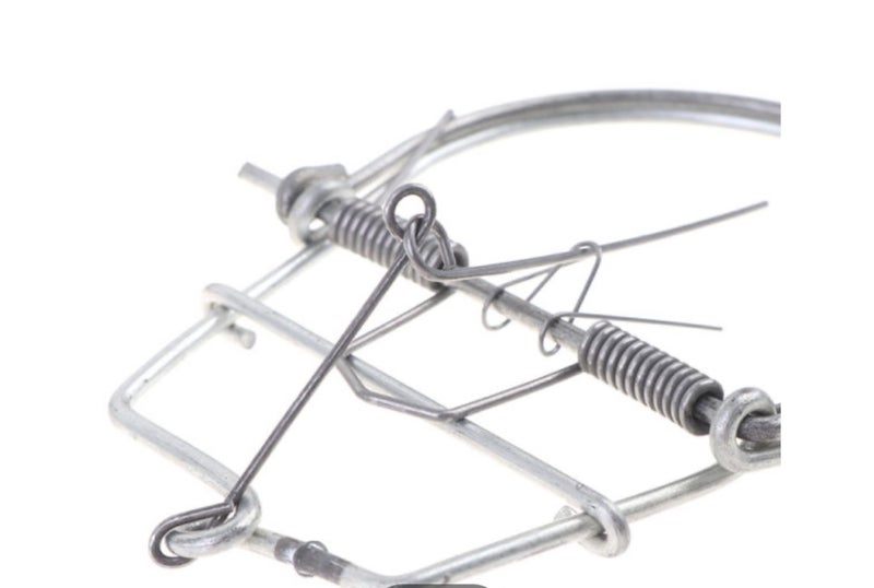 Rat, mouse, possum trap. NEW. Carousel 8