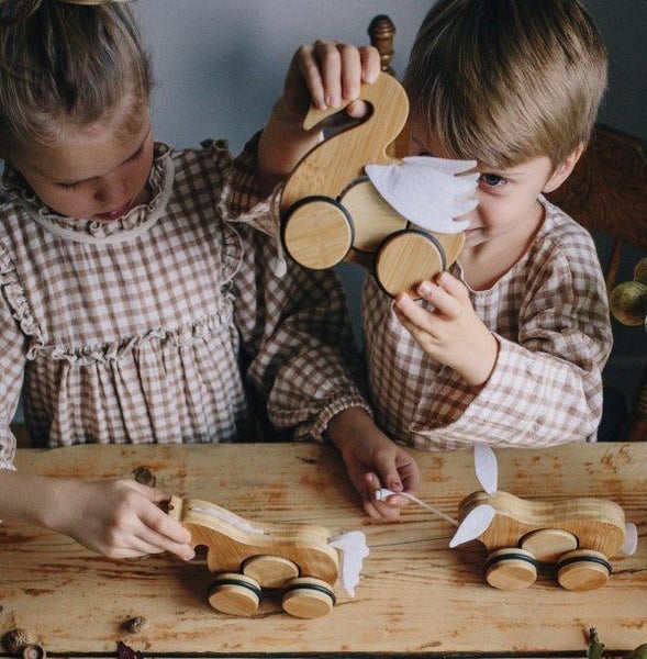 Kinderfeets Bamboo Push and Pull Swan Carousel 3
