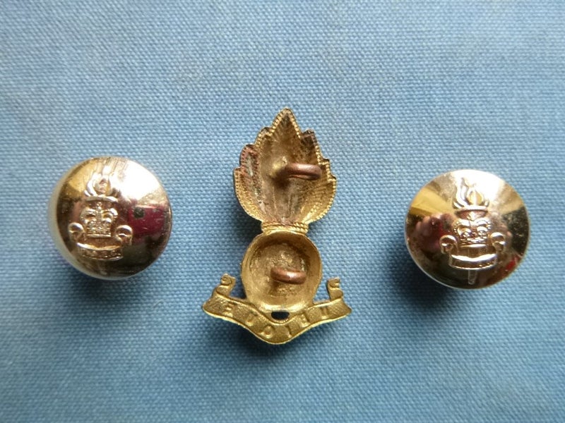 NZ ENGINEERS Collar Badge Etc Carousel 2