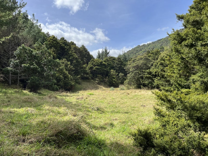 Lot 1 Mataraua Road Kaikohe 0474, Kaikohe, Far North, Northland