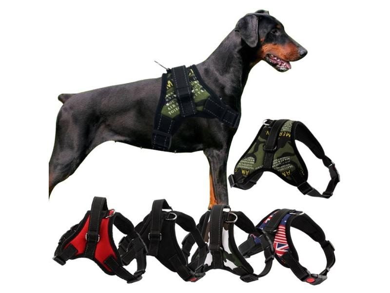 Dog Harness Carousel 2