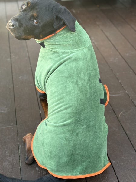 Dog Dry Coat Carousel 2