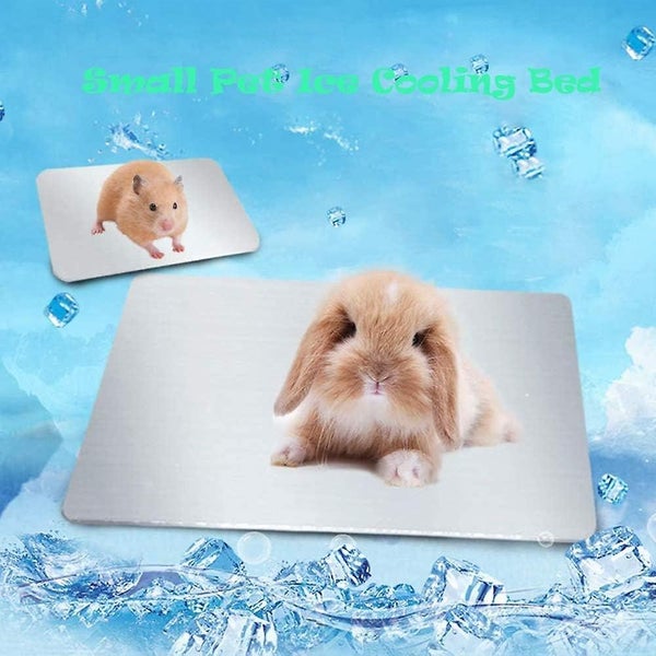 Cool Plate Pet Cooling Plate Cooling Mat For Rabbit Hamster Carousel 1