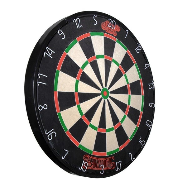 SHOT DARTS Bandit Bristle Dart board + Winmau Pro-Line Dartboard Surround Carousel 2
