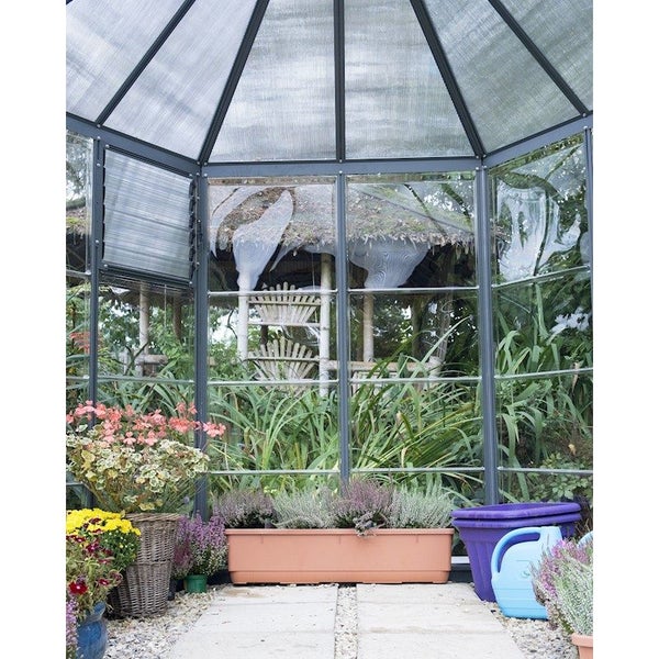 Greenhouse 8ft Oasis Hex62990728659969113