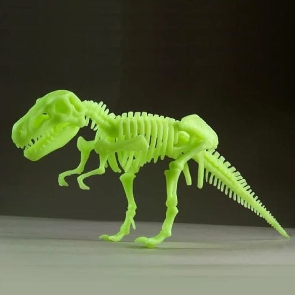 Glow In The Dark Tyrannosaurus Rex Kit Carousel 1