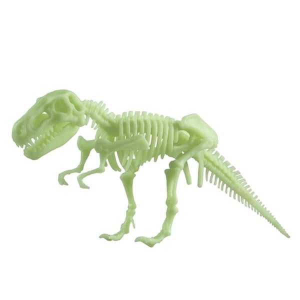Glow In The Dark Tyrannosaurus Rex Kit Carousel 2