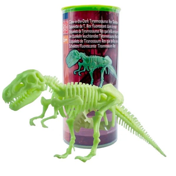 Glow In The Dark Tyrannosaurus Rex Kit Carousel 4