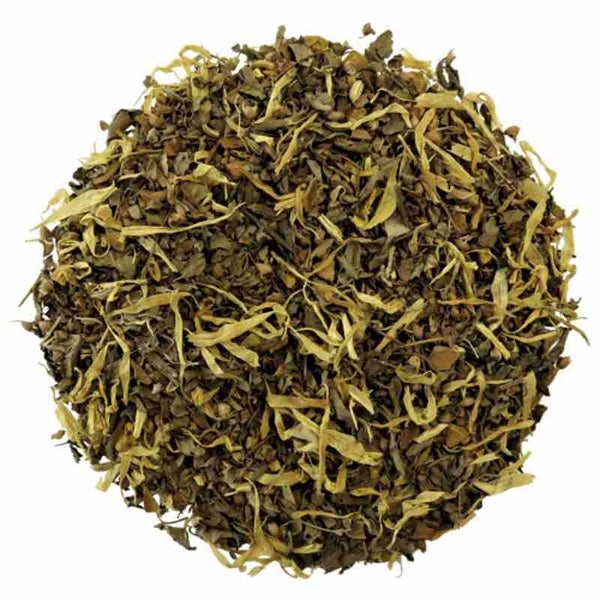 T Leaf T Energise With Turmeric & Horopito 250g Foil Pouch Carousel 2