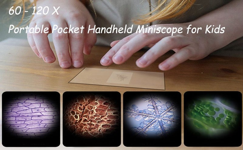 Miniscope Kids,Pocket Microscope for Kids,Portable Microscope,Handheld Microscop Carousel 2