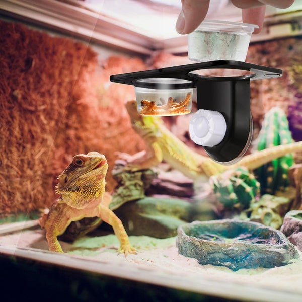 Popetpop Reptile Feeder Water And Food Double Cup Container Feeding Bowl For L Carousel 2