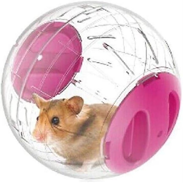 12cm Gym Ball For Hamsters And Mice Small Animal Activity Toy Carousel 1