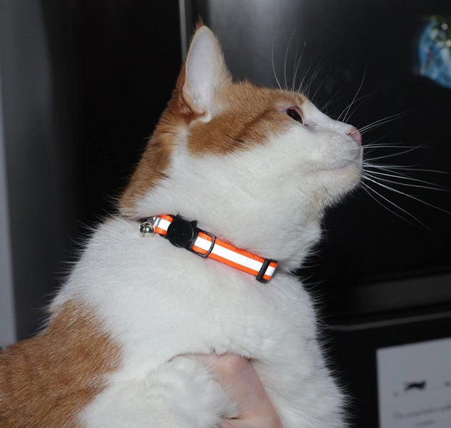 6pcs Cat Collar Random Color Carousel 2