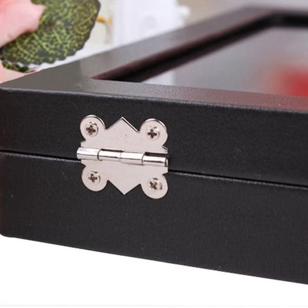 Length 35cm Width 24cm Height 4.5cm Black Leather Stud Earrings Jewelry Box Carousel 5