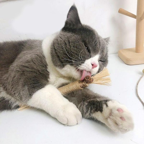 5pcs Natural Molar Stick Cat Toy Cat Chewing Toy Kitten Teeth Cleaning Edible Carousel 5