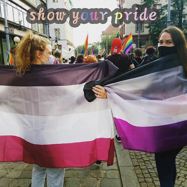 Asexual Flag For Wall & Outdoor 3x5 Ft Ace Flag Gay Pride Stuff Lgbtq Accessor Carousel 5