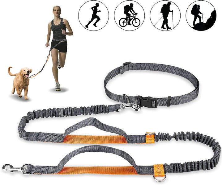 Hands-free Dog Leash Adjustable Elastic Jogging Leash With Reflective Stitchin Carousel 1