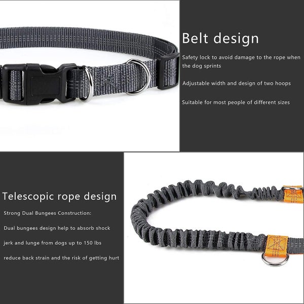 Hands-free Dog Leash Adjustable Elastic Jogging Leash With Reflective Stitchin Carousel 2