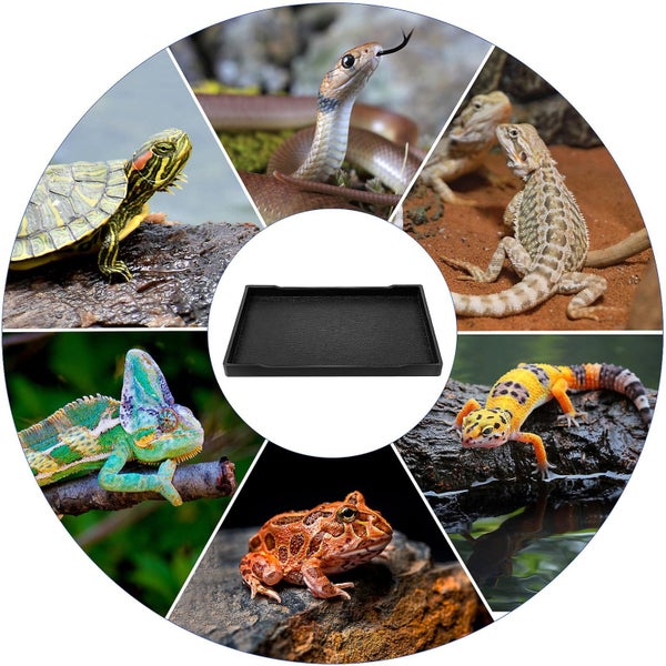 Beard Accessories Reptisoil Reptile Feeding Bowl Leopard Gecko Tank Accessorie Carousel 2